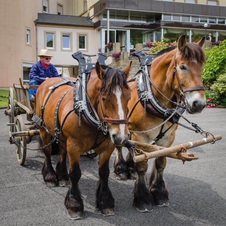 Grand Hotel Echternach Extérieur photo